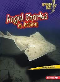 Angel Sharks in Action - Shark World - Lightning Bolt