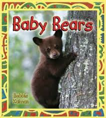 Baby Bears: It's Fun to Learn About Baby Animals
