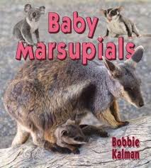 Baby Marsupials: It's Fun to Learn About Baby Animals