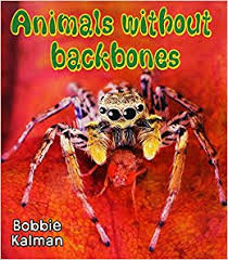 Animals Without Backbones - Big Science Ideas
