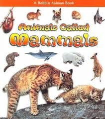Animals Called Mammals: What Kind of Animal Is It?