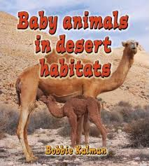 Baby Animals in Desert Habitats:  The Habitats of Baby Animals