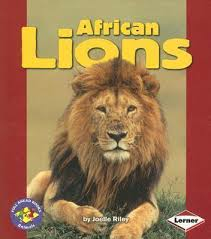 African Lions (Pull Ahead - Animals)