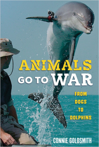 Animals Go to War: From Dogs to Dolphins