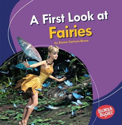 A First Look at Fairies: Bumba Books  — Fantastic Creatures